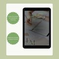 Christian Wellness Journal